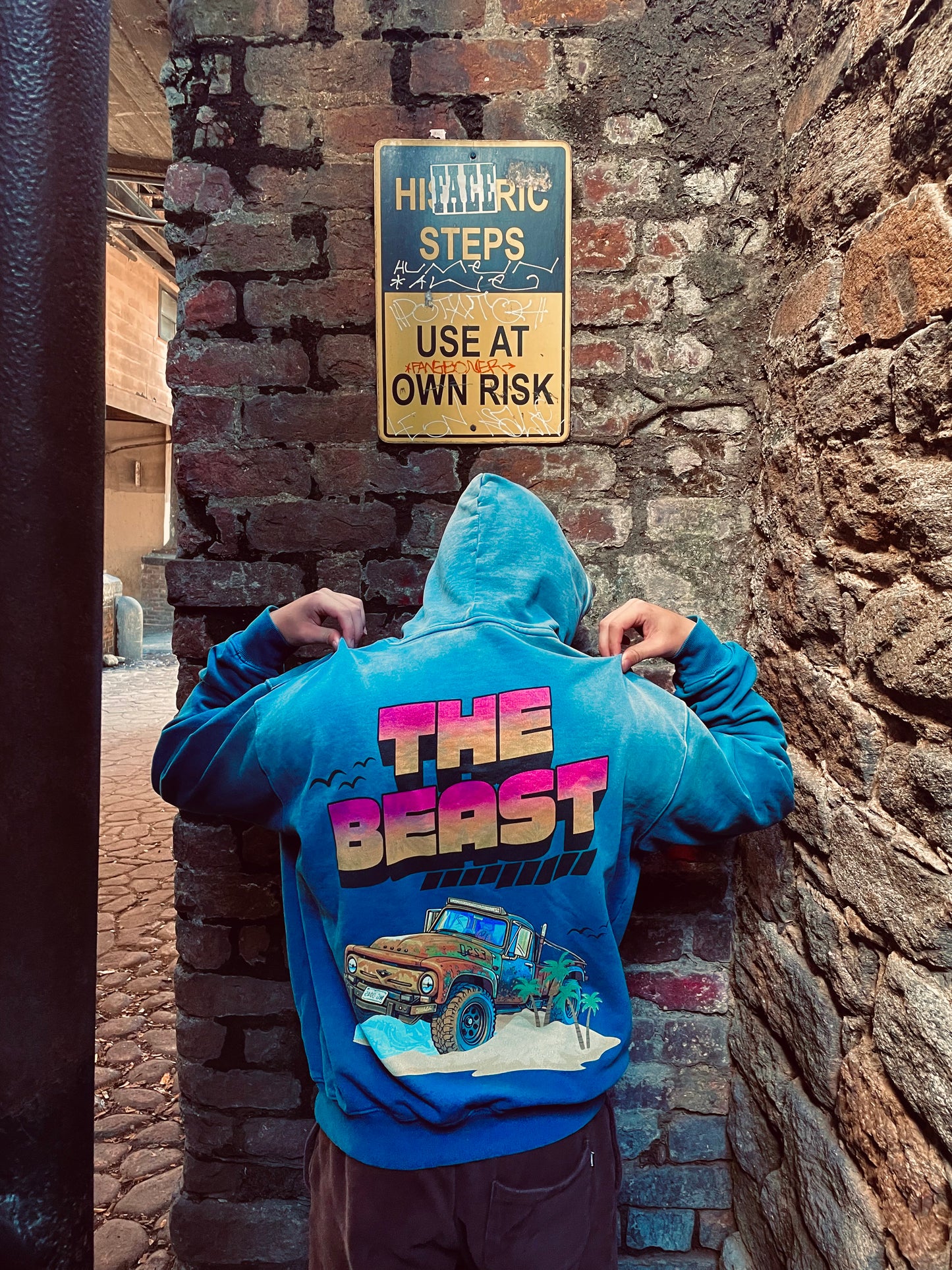 TheBeach_1956 Oversided Hoodie